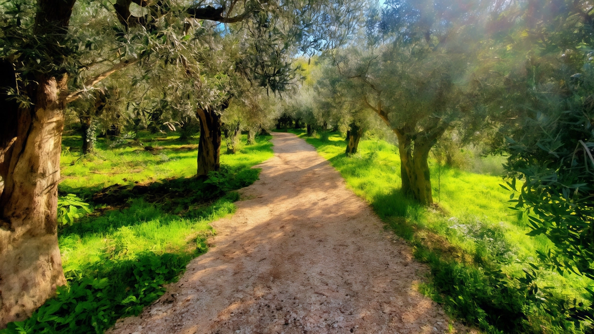 VIA LAURETANA. A PIEDI NEL SOLCO. DELLA FEDE