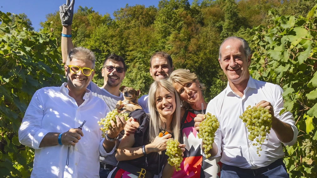 Le prenotazioni sono aperte per la 13ª Vendemmia Solidale a San Pietro di Feletto, a sostegno dell'associazione C'è Da Fare ETS per adolescenti in difficoltà. Evento benefico con vendemmia, musica, intrattenimento e lotteria il 8 settembre. Contributo di partecipazione: 20 euro per adulti, 10 euro per bambini. #®️VendemmiaSolidale