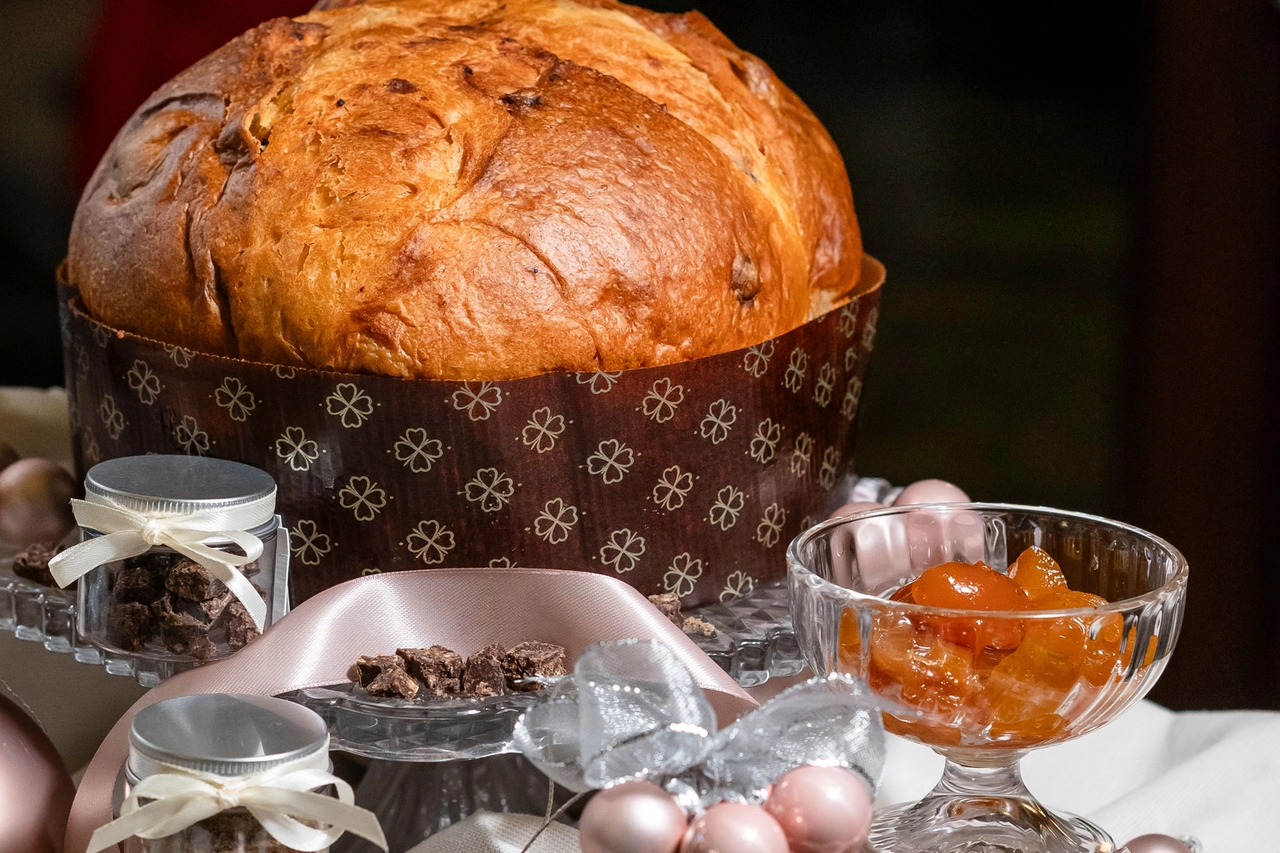 PanCricrì, primo panettone con farina di grillo (all'1%)