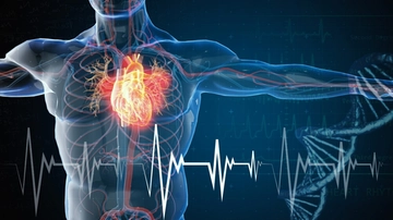 Insufficienza cardiaca, attenzione a fiato corto, gonfiore e scompenso