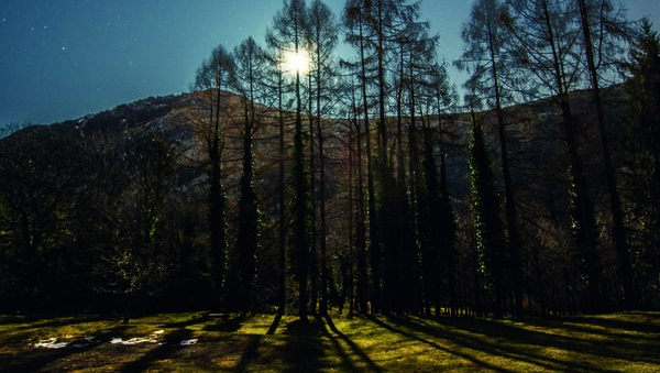 Escursioni al tramonto sui Monti Lessini: 12 appuntamenti tra il 18 settembre 2024 e l’11 luglio 2025, quando c’è la luna piena, immersi nella natura incontaminata. Il calendario completo con le date e i percorsi