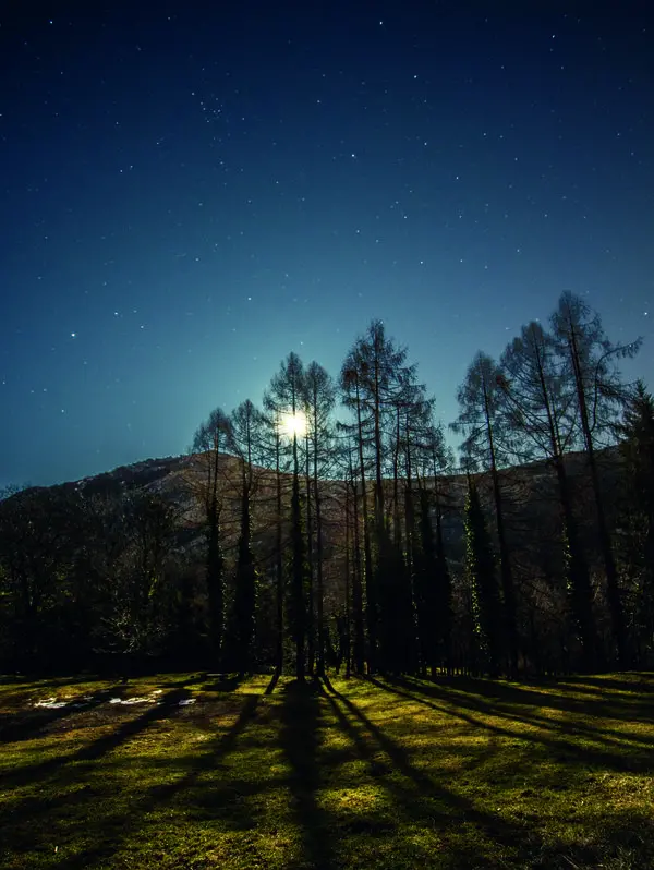 Moonlight Lessinia, trekking sotto la luna piena e degustazioni in malga