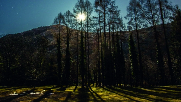 Moonlight Lessinia, trekking sotto la luna piena e degustazioni in malga