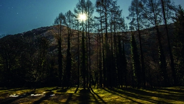 Moonlight Lessinia, trekking sotto la luna piena e degustazioni in malga