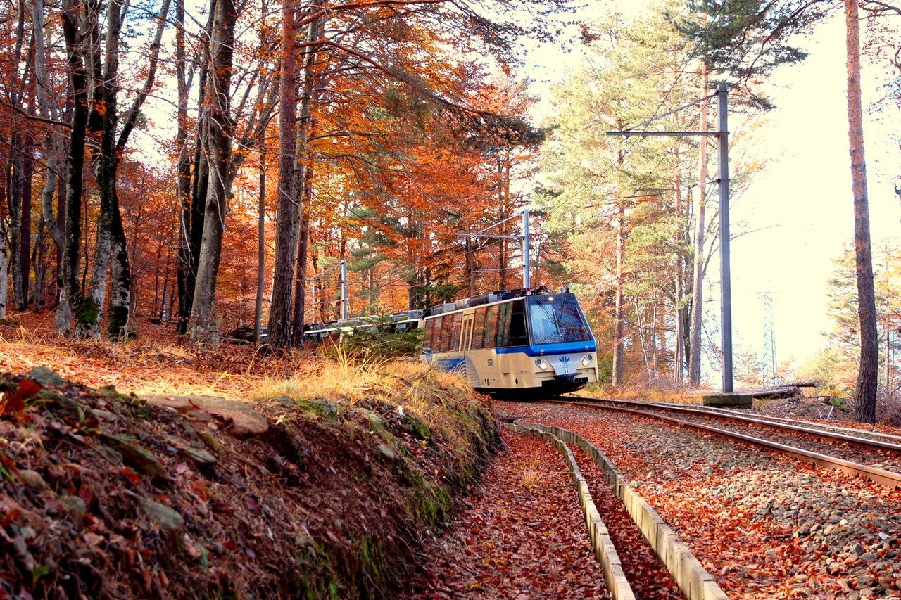 Il Treno del Foliage