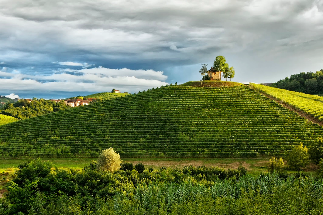 Carlo Avataneo e le geometrie dei Paesaggi vitivinicoli Unesco in Piemonte