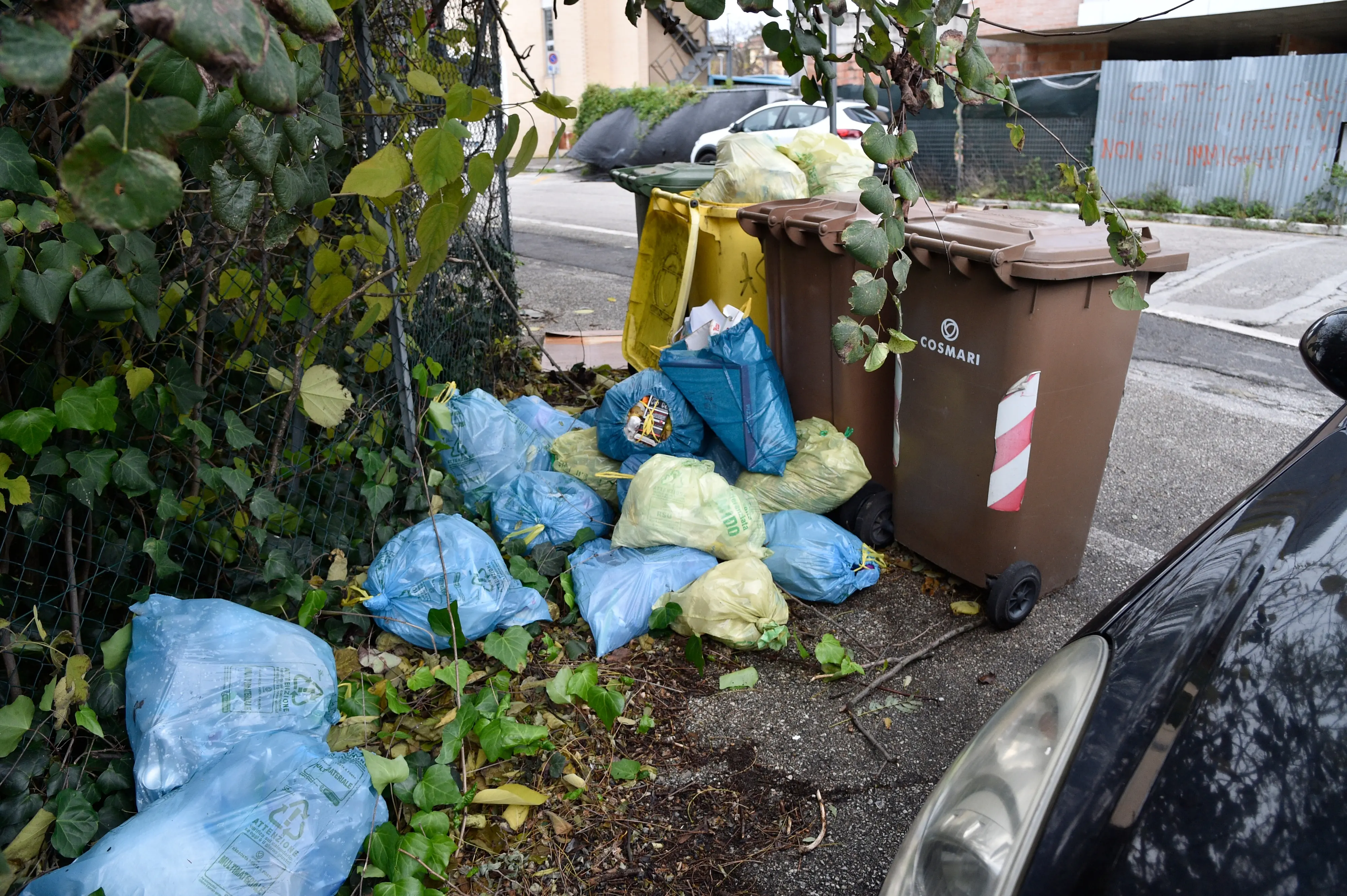 Cos’è il dumpster diving: quando la lotta allo spreco alimentare diventa estrema