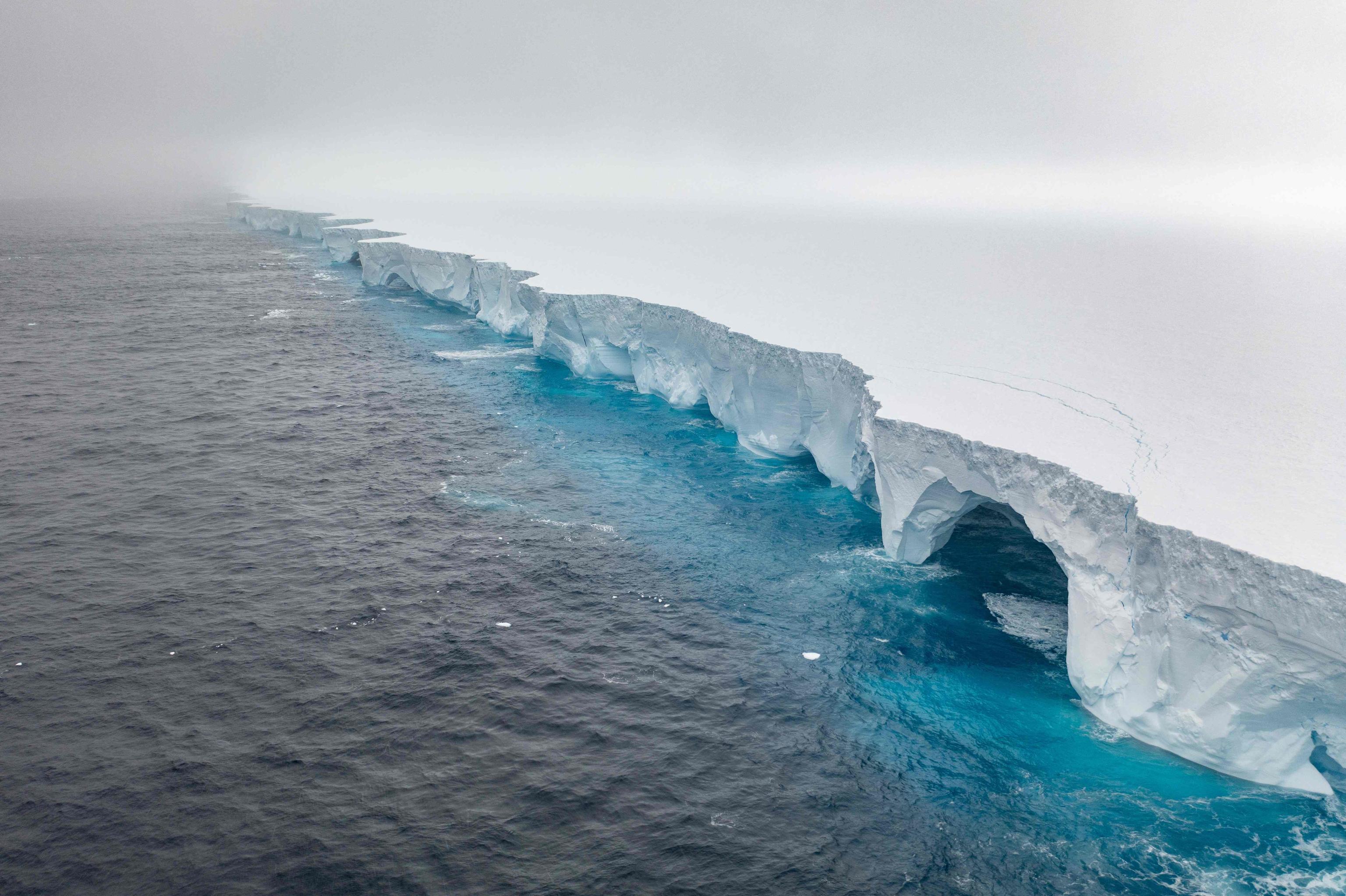 Il più grande iceberg al mondo si dirige verso la Georgia del Sud: a rischio uccelli marini, pinguini e foche