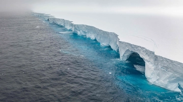 Il più grande iceberg al mondo si dirige verso la Georgia del Sud: a rischio uccelli marini, pinguini e foche