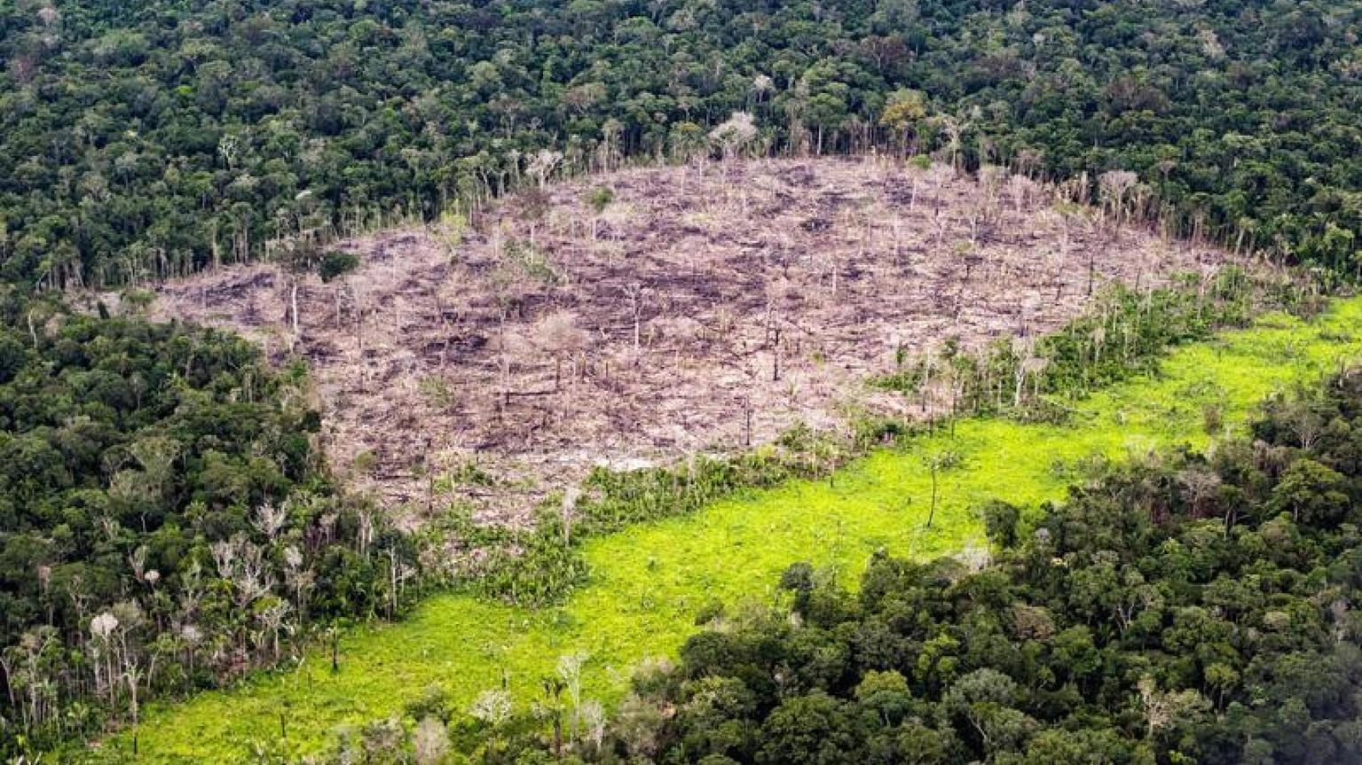 Il Brasile si lancia come leader globale dell'idrogeno verde