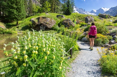 I 4 giardini botanici della Valle d’Aosta: meraviglia alpina ad alta quota