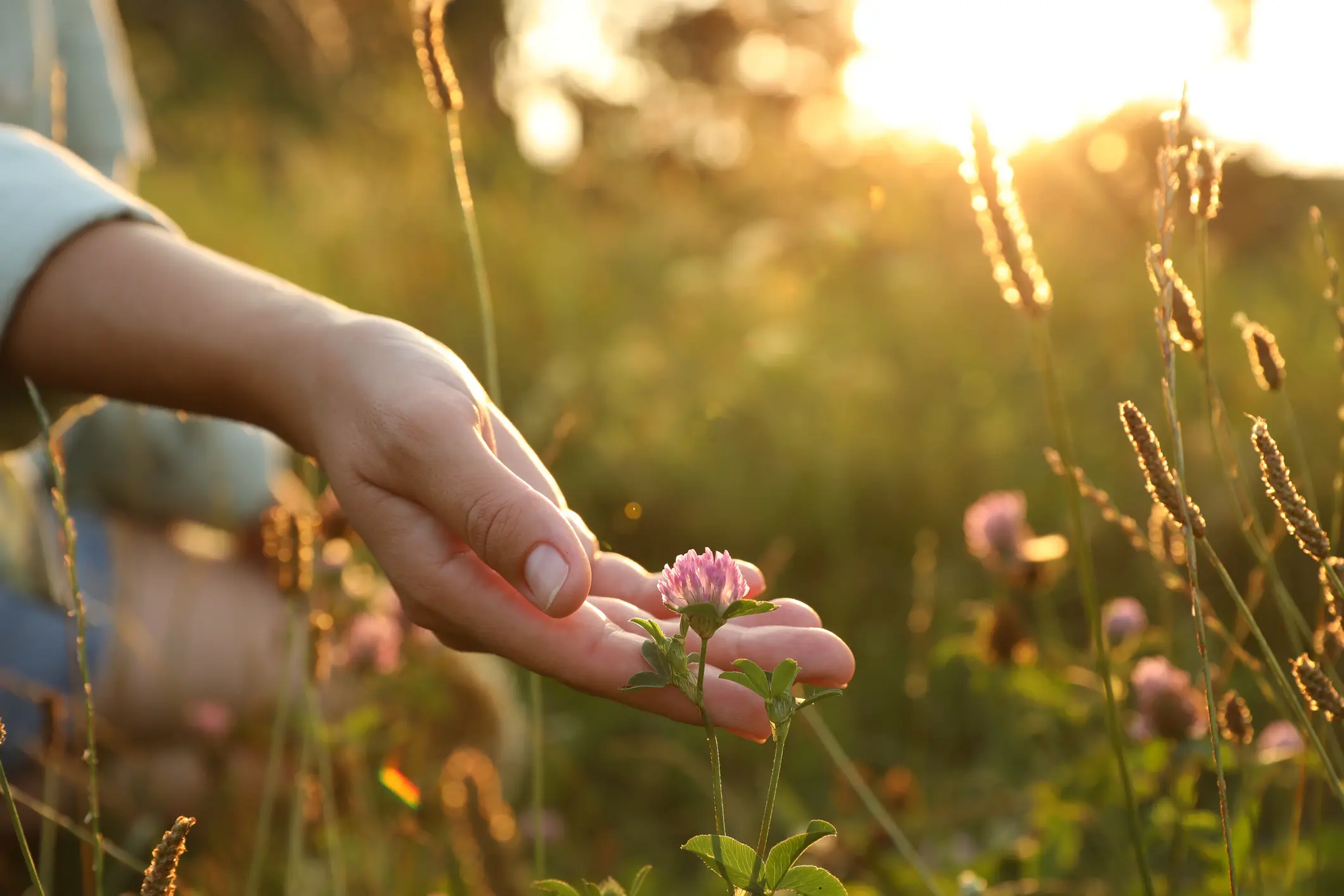 Giornata mondiale della biodiversità, perché