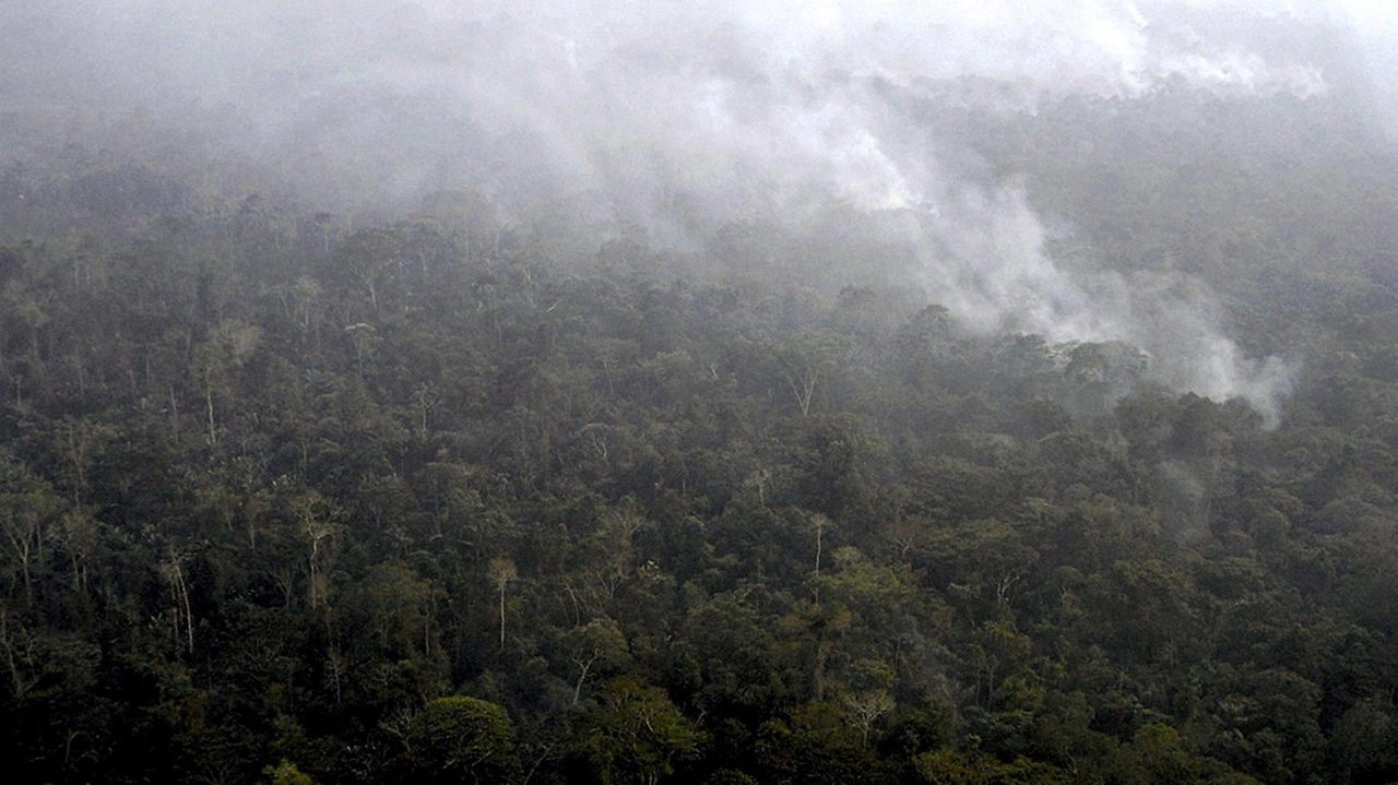 La colpa è degli incendi in Amazzonia