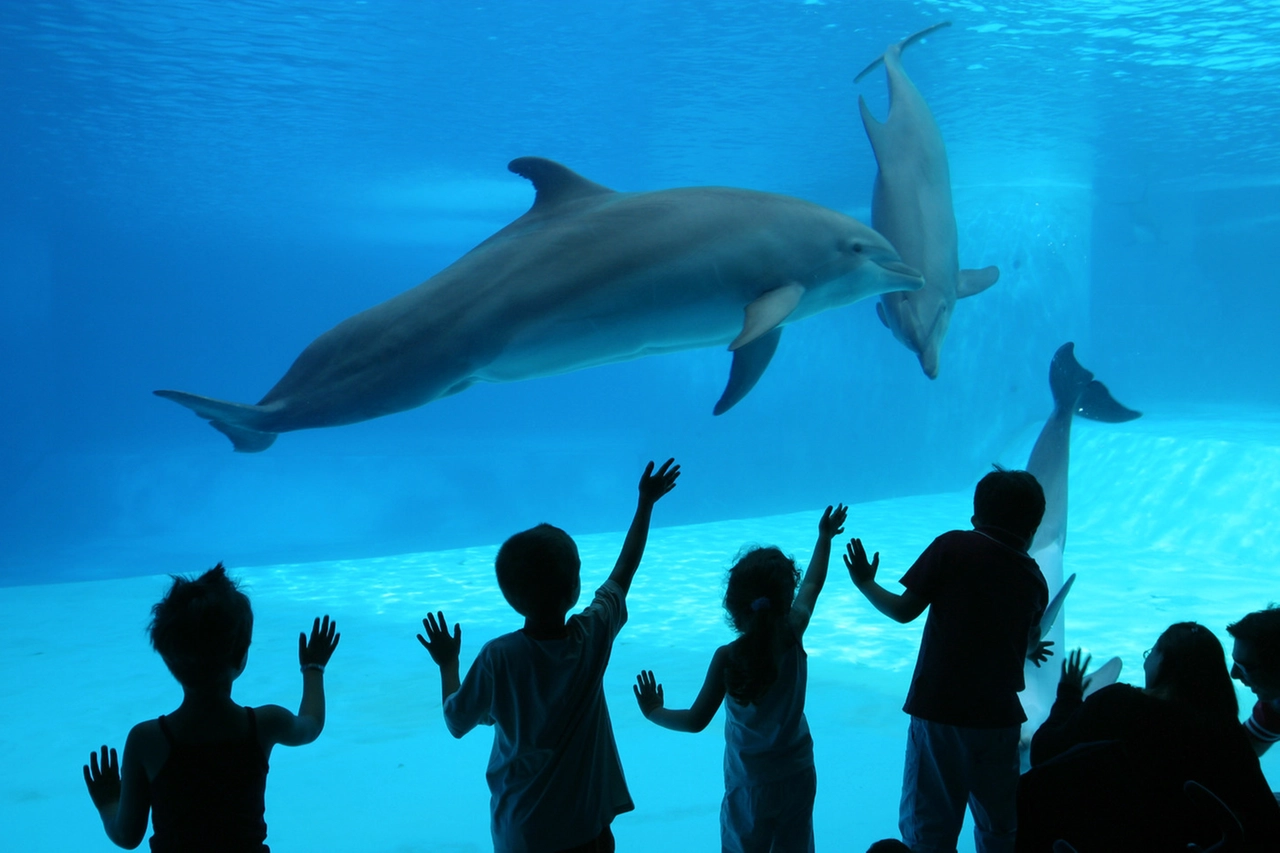 Visita al parco acquatico Oltremare di Riccione