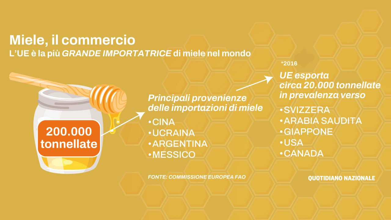 Miele, i numeri del commercio