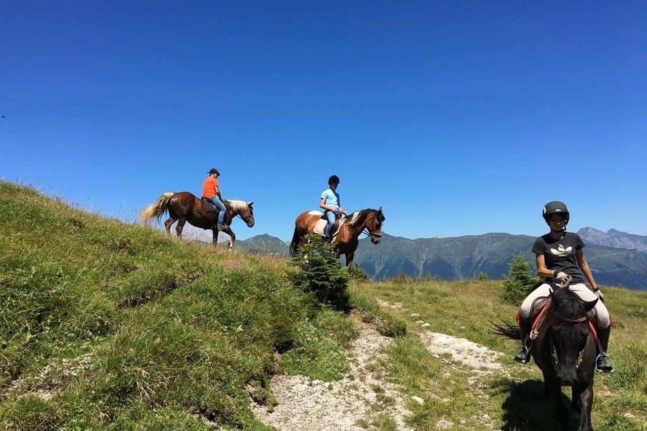 Passeggiate a cavallo (Visit Zoncolan)