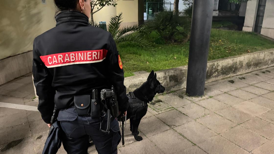 Maxi operazione antidroga a Roma: 26 arresti. Sequestri per 5 milioni, anche bombe a mano e pistole da guerra