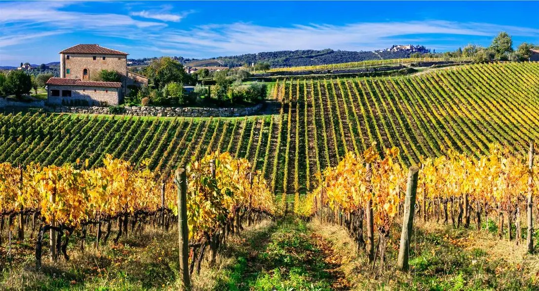 Chianti Classico, alla scoperta di un territorio unico