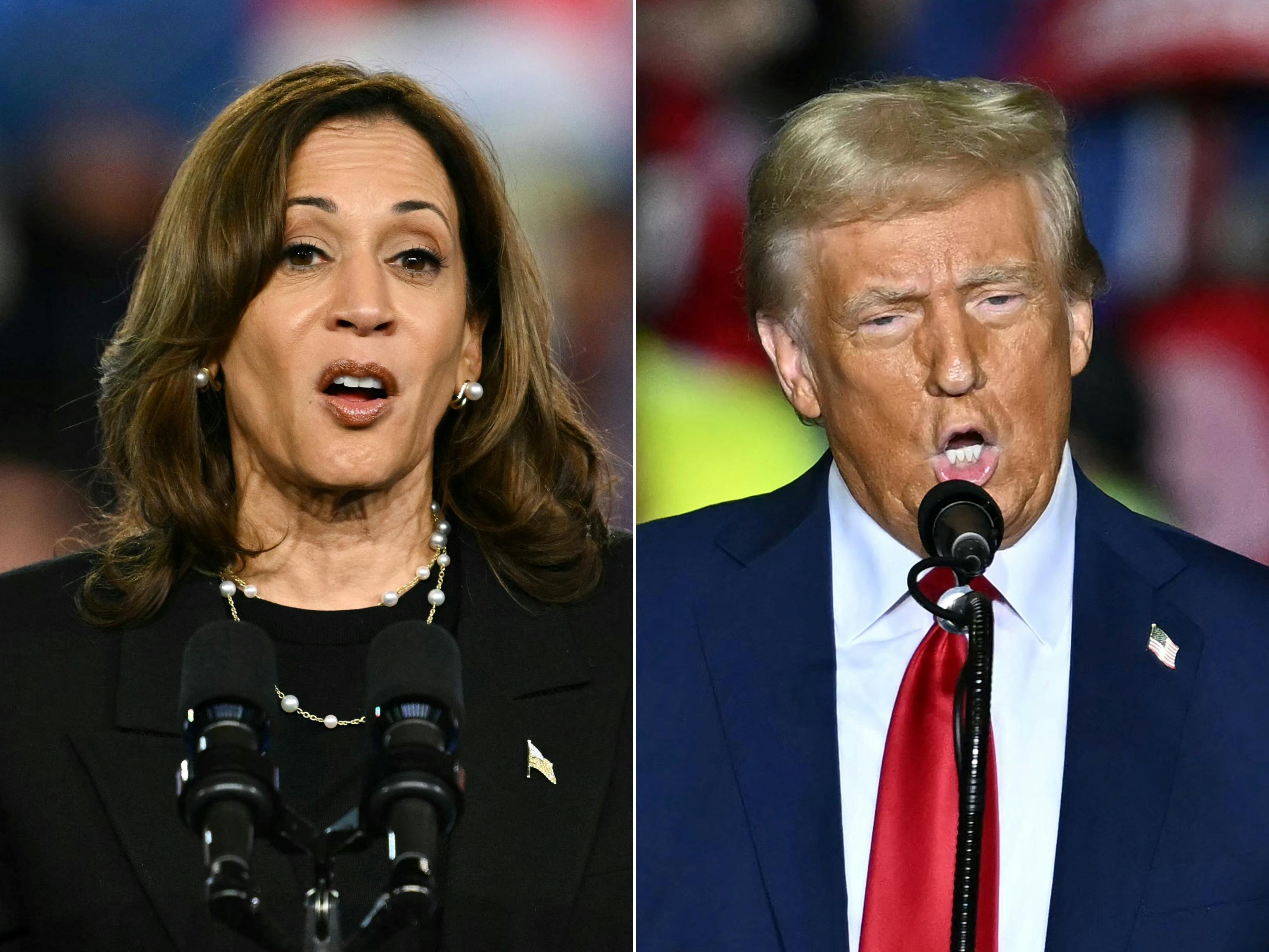 Trump-Harris, America chooses. New York amidst queues at the polls and strikes. The reportage