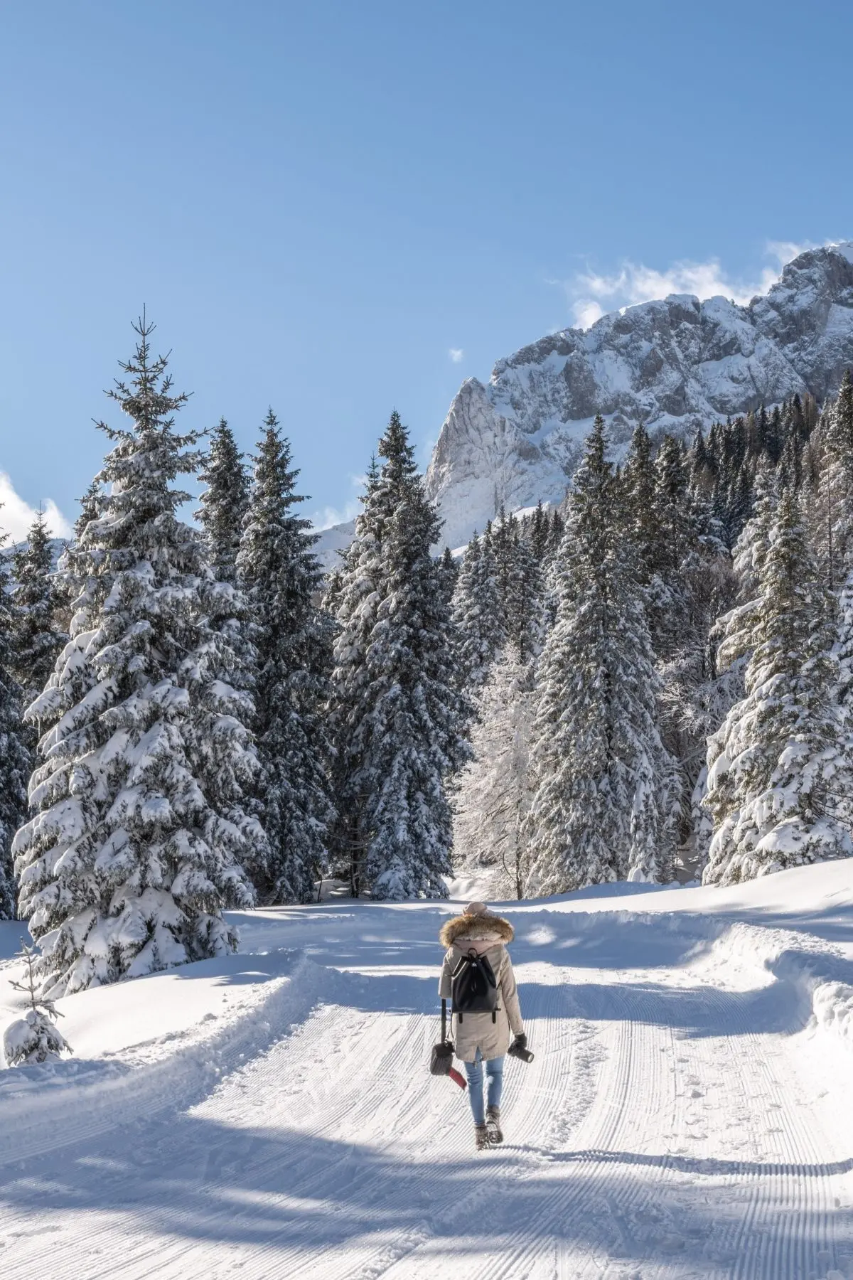 Alpi Carniche, il finto letargo della natura regala esperienze uniche