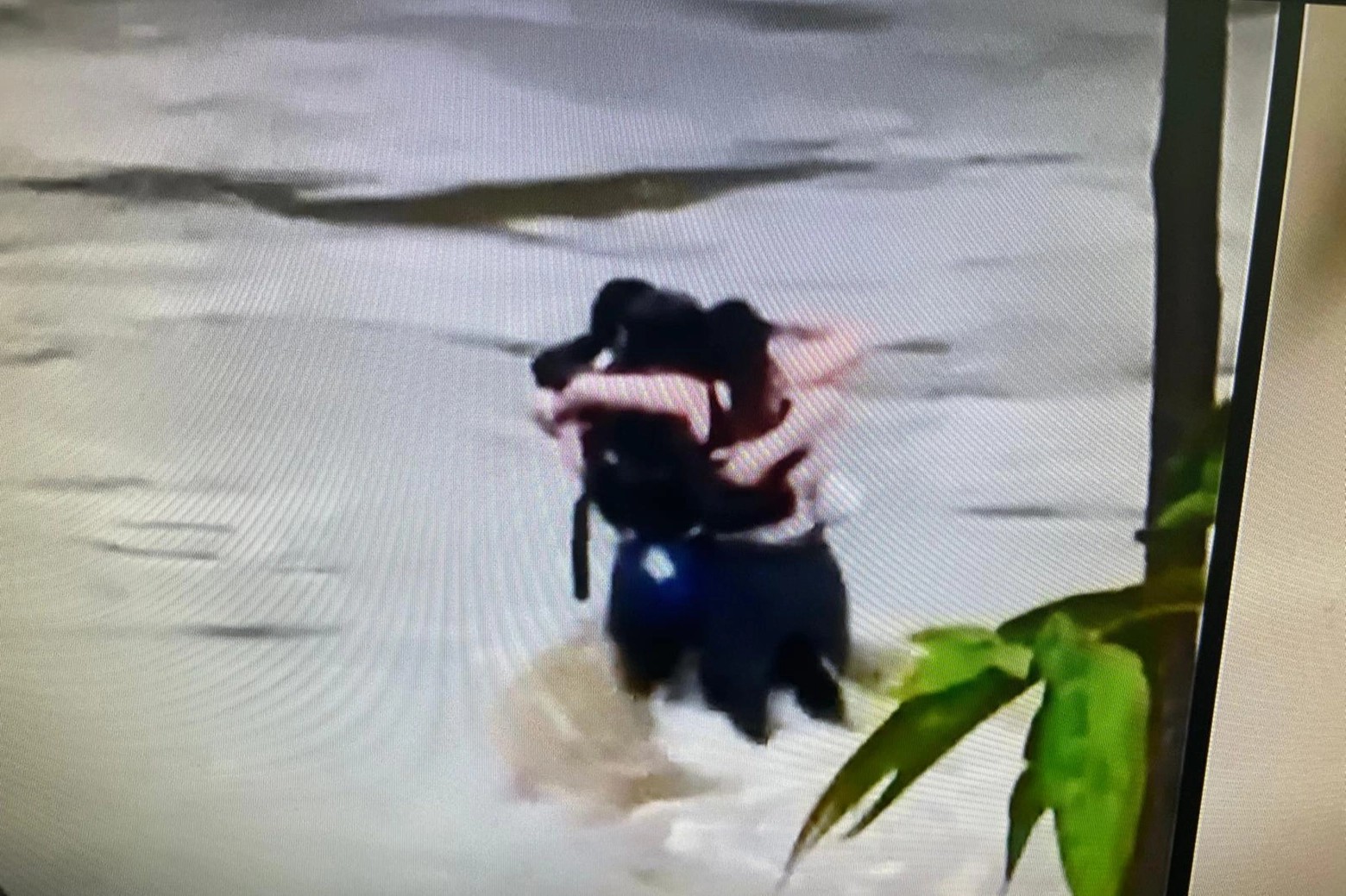 Un fermo immagine del drammatico tentativo dei giovani di salvarsi dalla piena del fiume restando abbracciati
