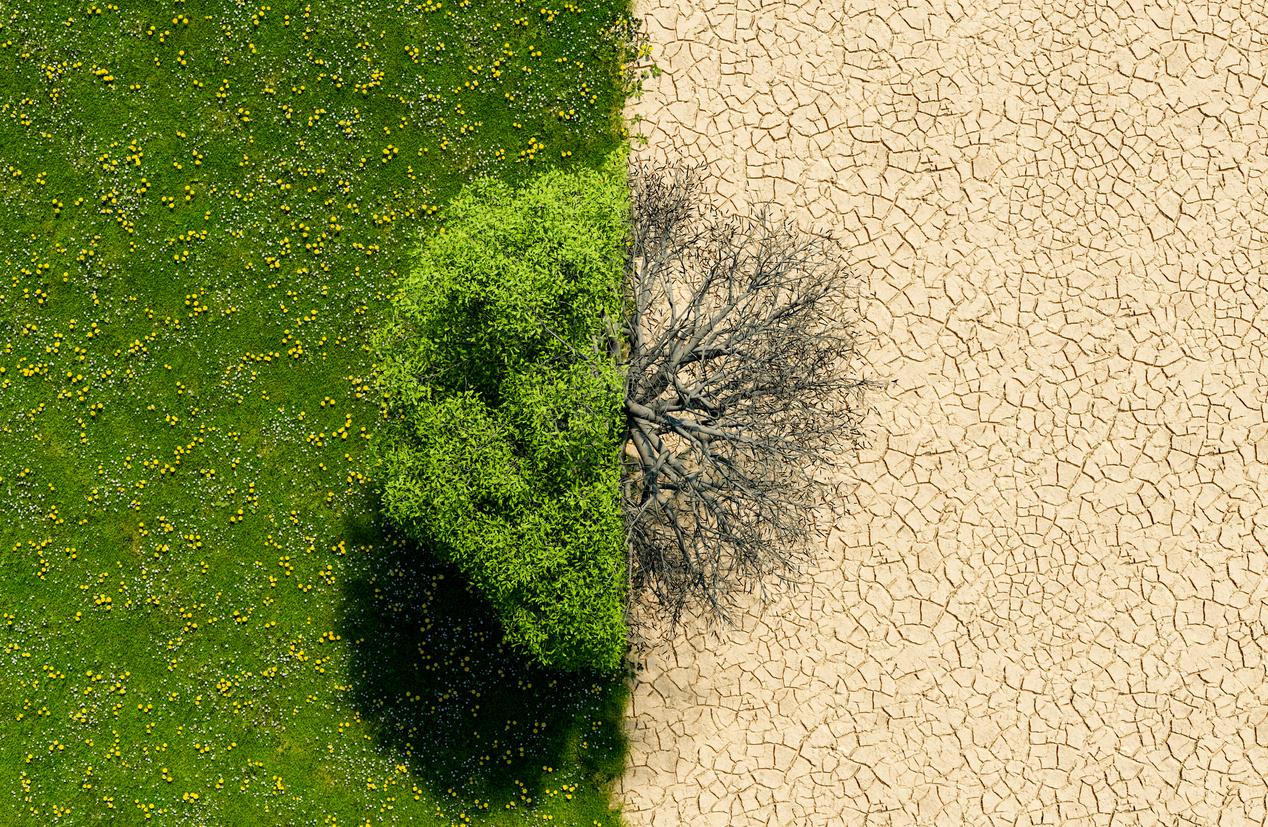 La crisi fiscale dei Paesi in via di sviluppo e l'impatto sul cambiamento climatico