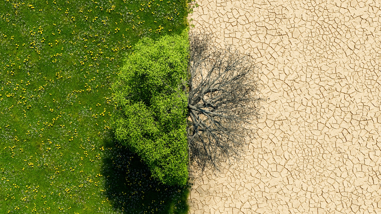 La crisi fiscale dei Paesi in via di sviluppo e l'impatto sul cambiamento climatico