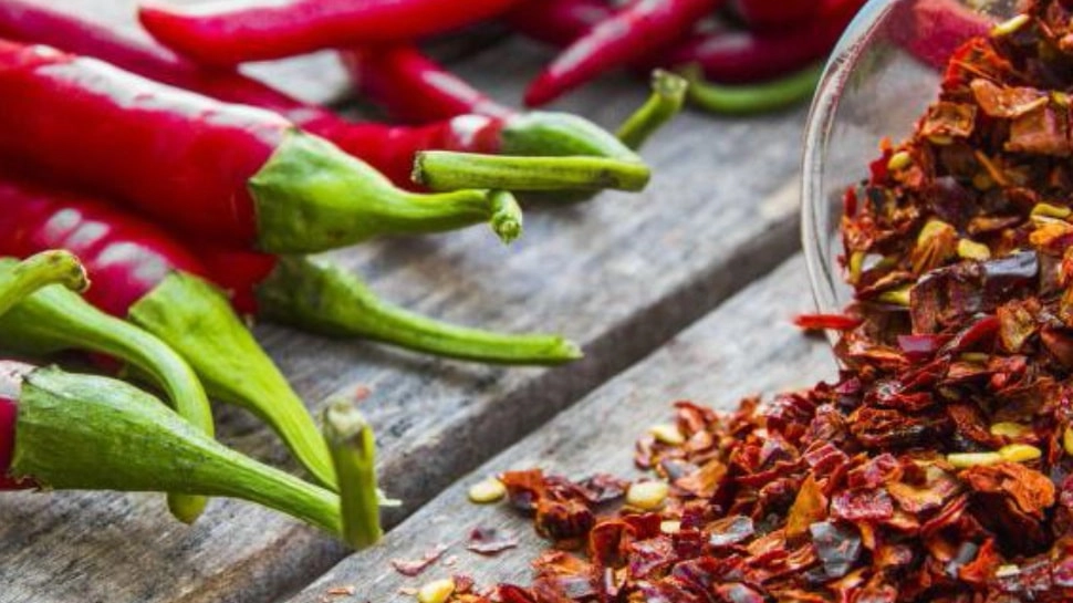 Con menta, salvia, melissa, rosmarino è tra le piante che possiamo coltivare anche su un balcone