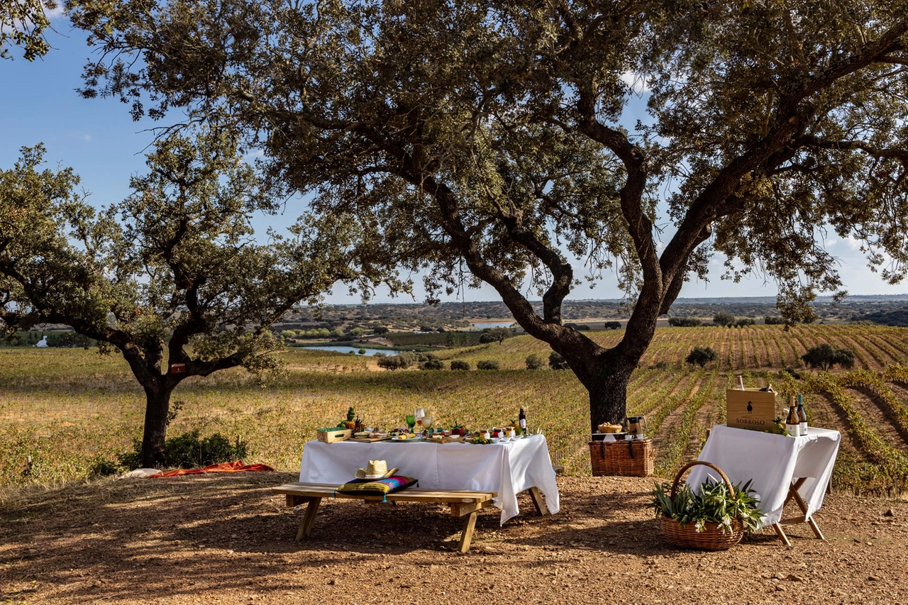 Pic-nic a Herdade do Sobroso