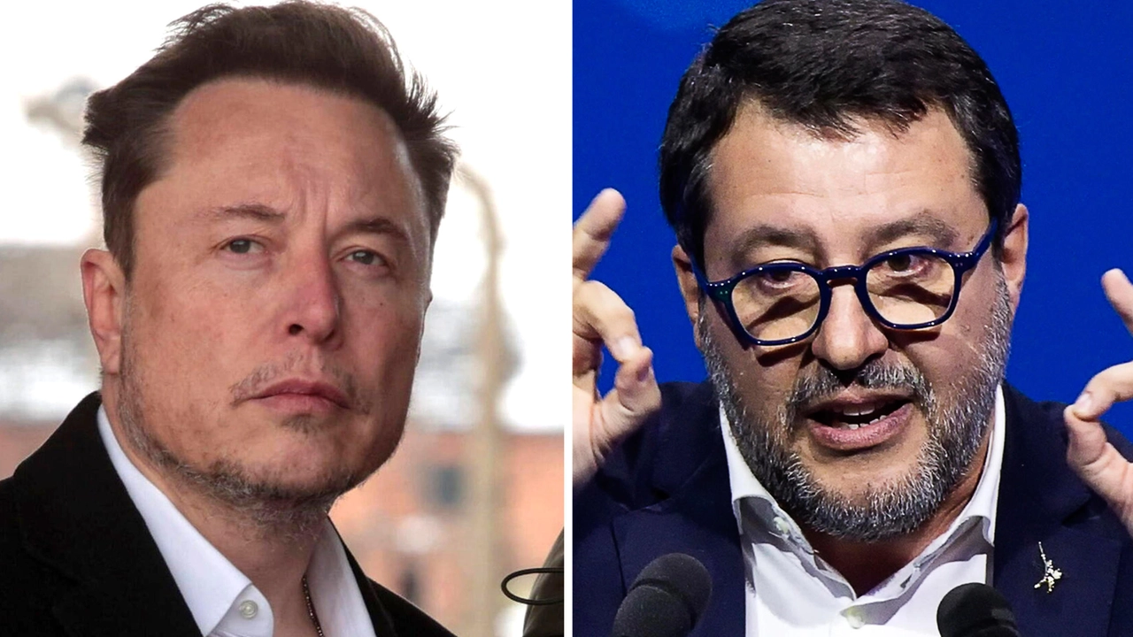 Elon Musk difende Salvini (Ansa)