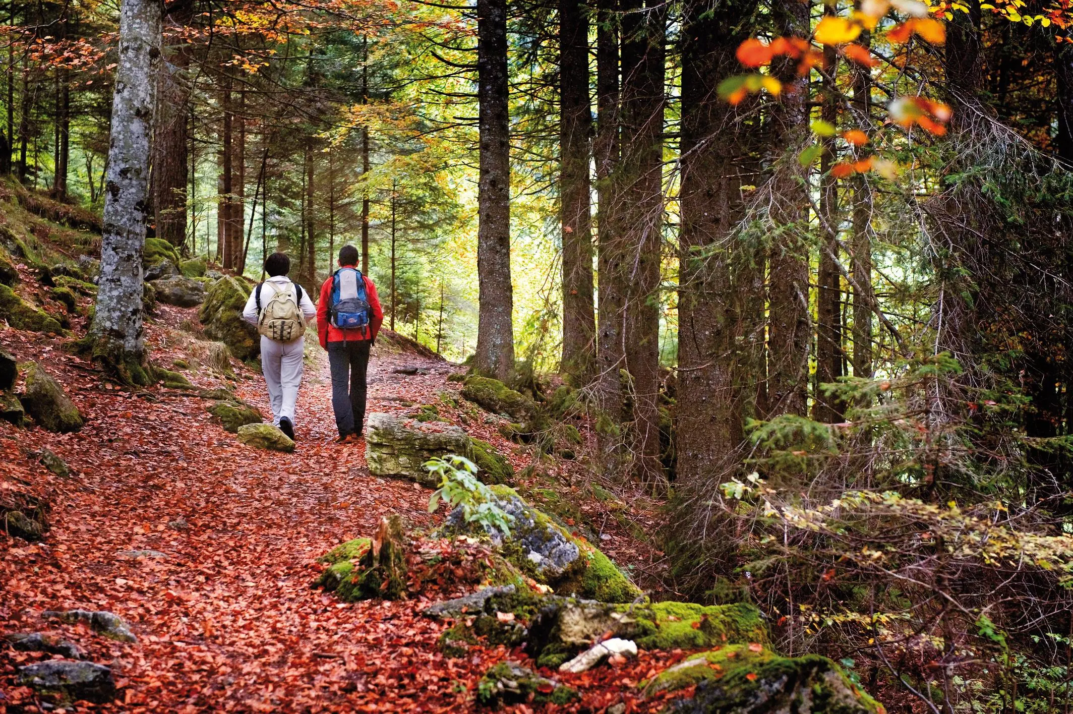 Trentino magico, oltre l’estate. Emozioni slow