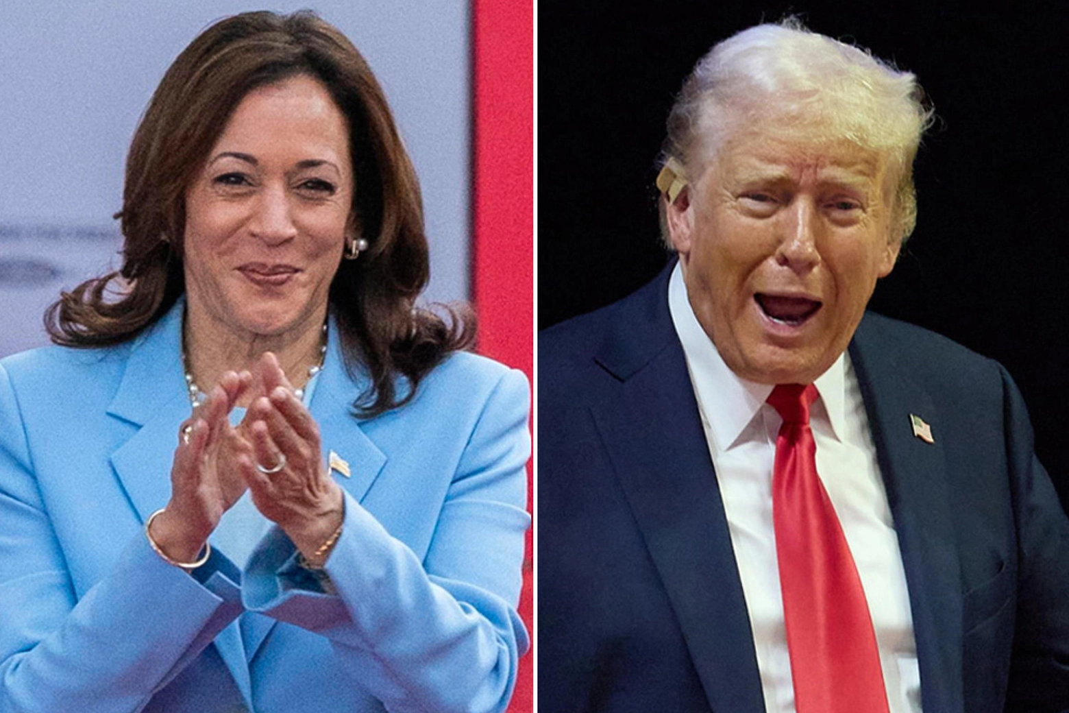 Kamala Harris e Donald Trump sono i candidati alla Casa Bianca