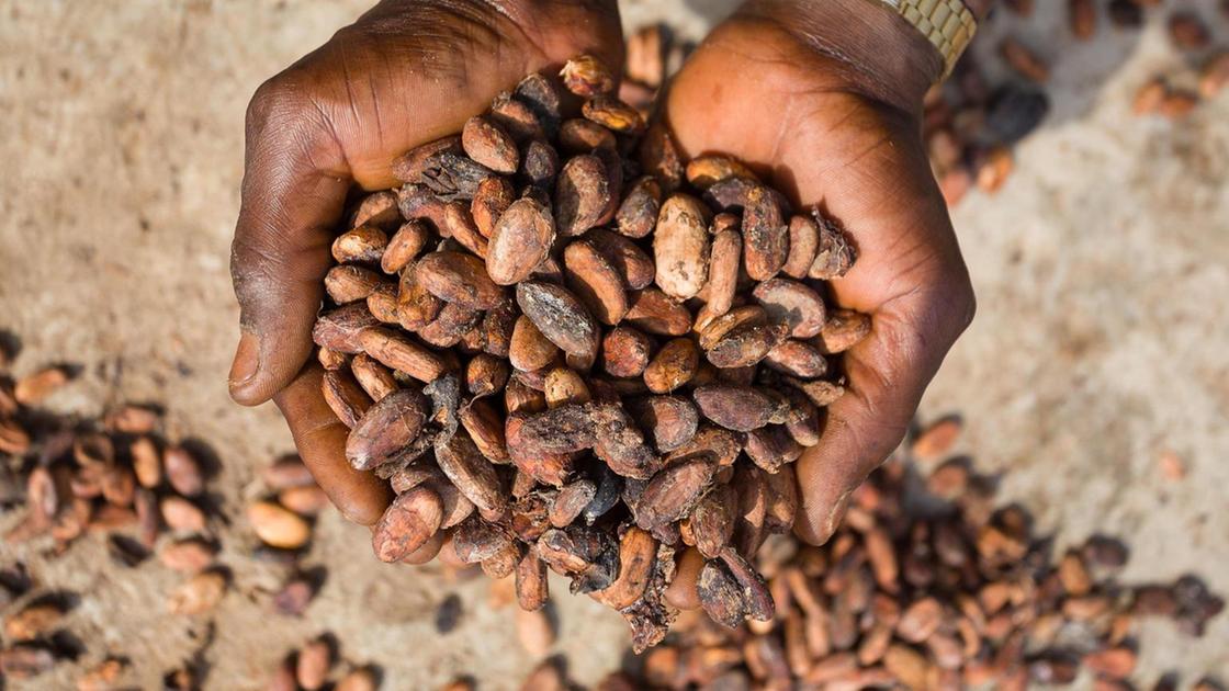 Il cacao inverte la rotta: crollano i consumi, frenano i prezzi. Calano anche i ceci