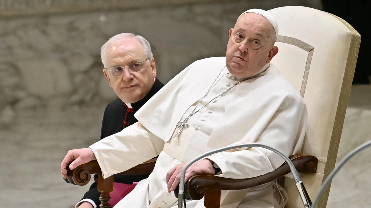 Papa Francesco durante l'udienza generale del 12 febbraio (Afp)