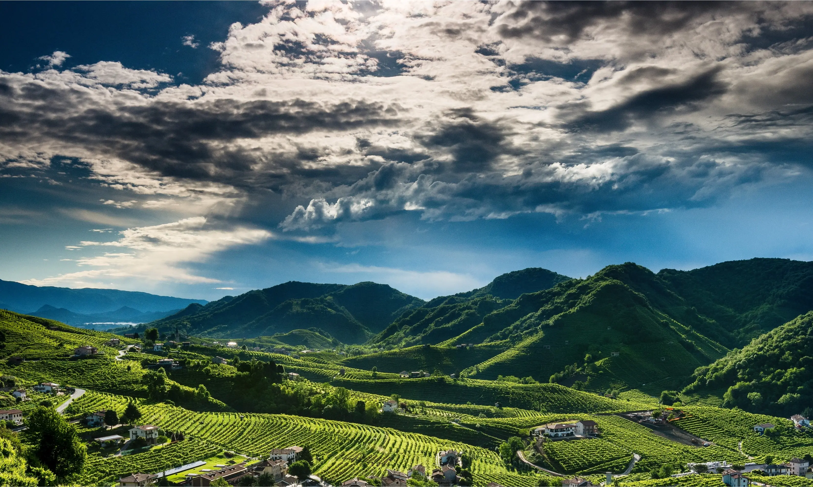 Le Colture, vino di qualità sulle Colline del Prosecco. Dal 1500