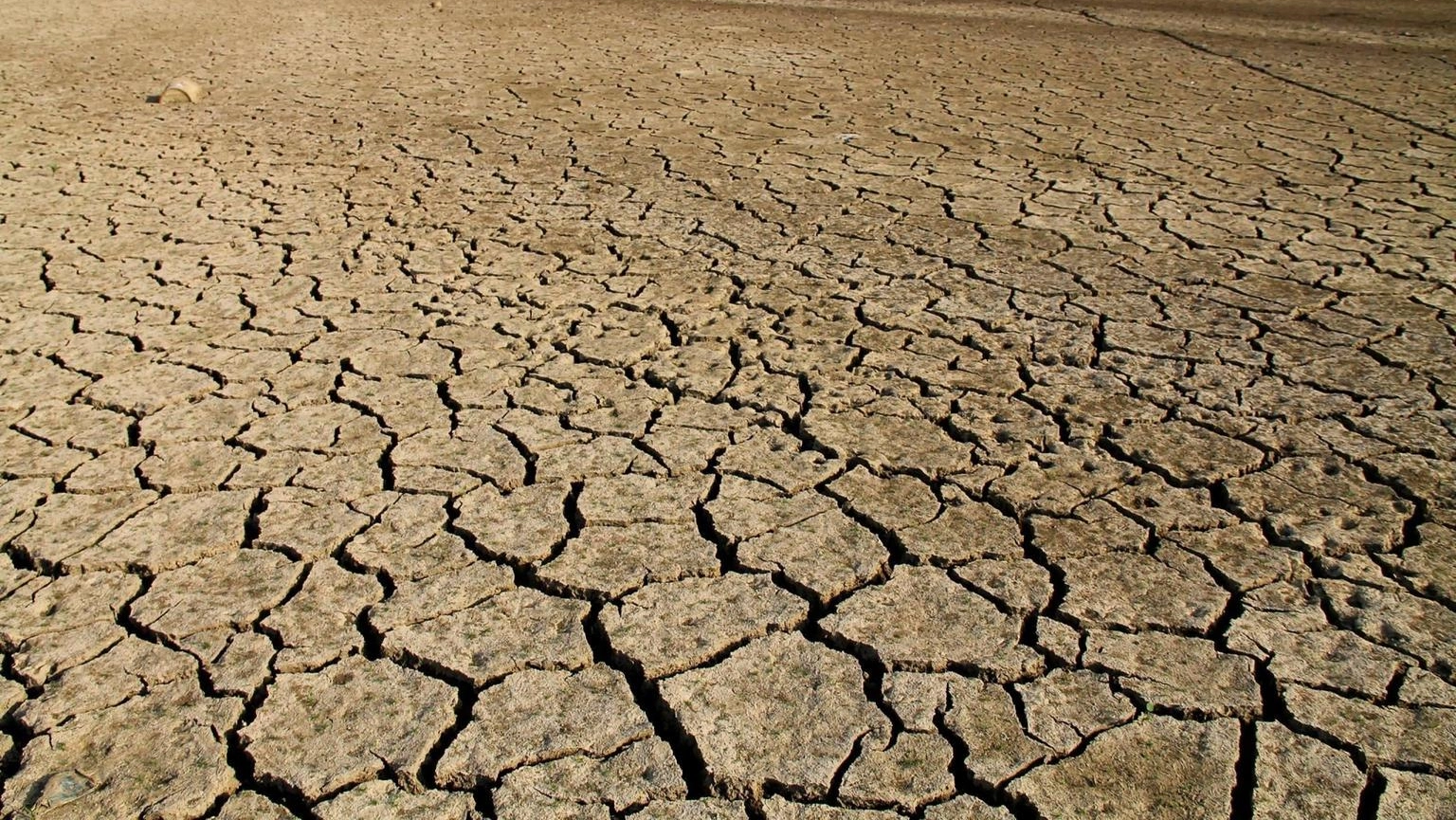 Risorse idriche razionate in molte regioni, la situazione peggiore in Sicilia con “terreni bruciati come dune nel deserto”, scrive il New York Times. Nell’isola risorse già razionate e appena 414 mm di pioggia in 12 mesi, come nella grande siccità del 2002