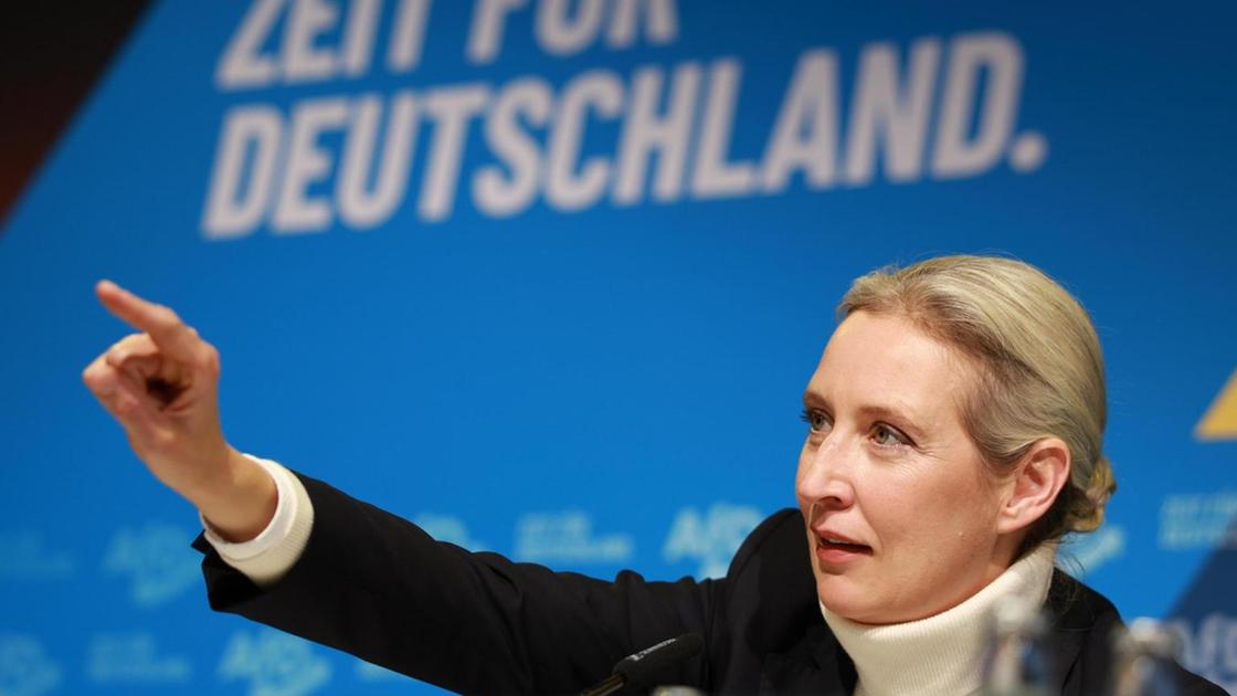 Weidel a Musk, 