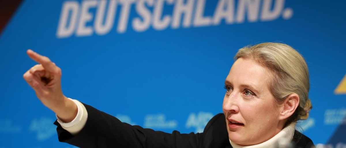 Weidel a Musk, 'Hitler un comunista antisemita, noi l'opposto'