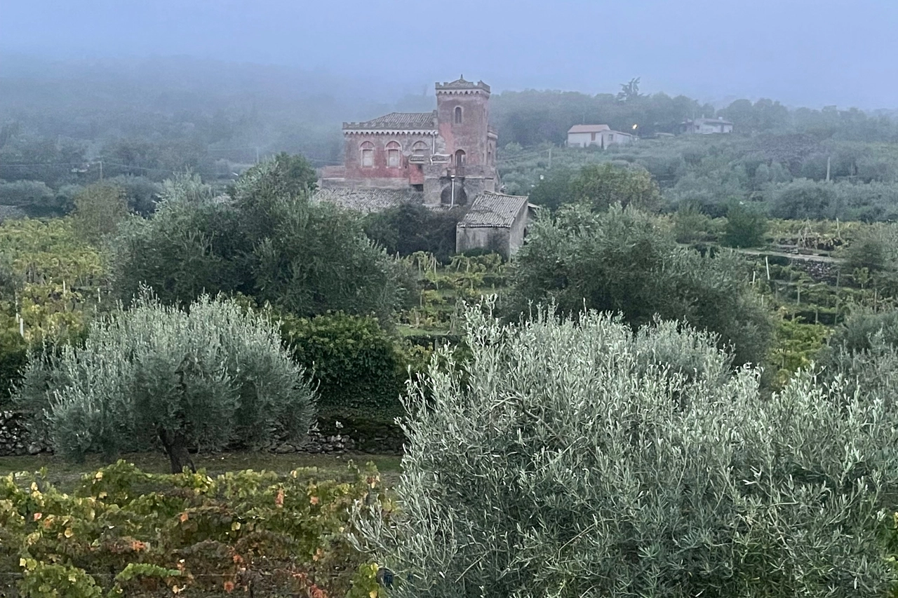 Contrada Rampante, la tenuta 