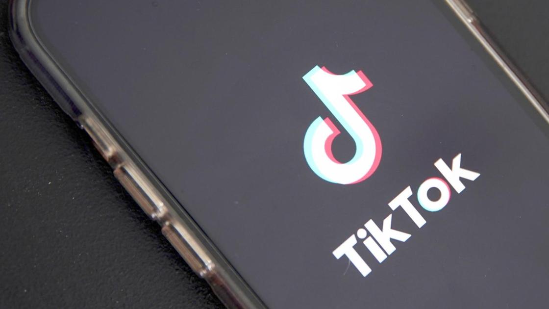 TikTok a Ue, tutelata la nostra integrità in 150 elezioni