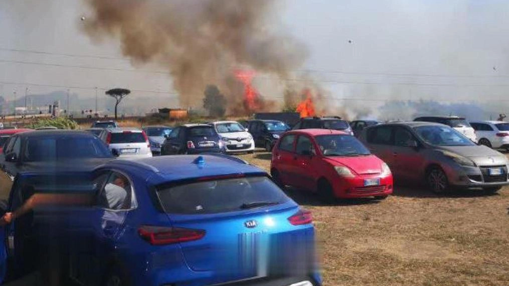 Un vasto incendio ha colpito l'area sud ovest di Roma, danneggiando la vegetazione, abitazioni e il Parco Acquatico Hydromania. Le autorità stanno indagando sull'origine del rogo.