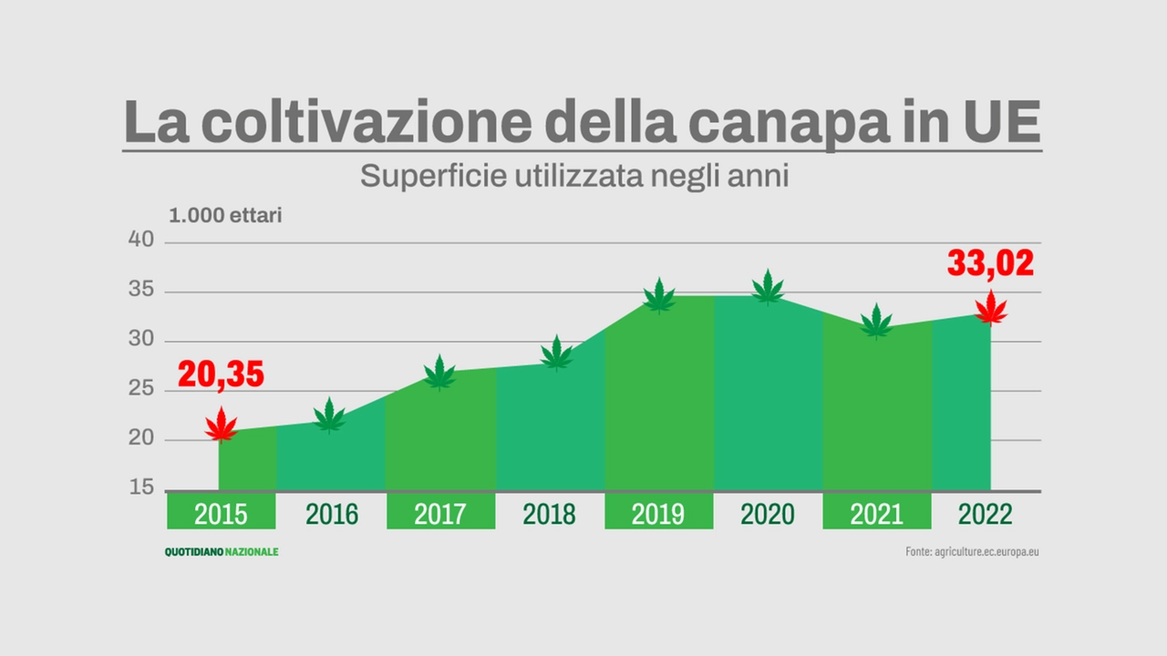 La coltivazione della canapa in Ue