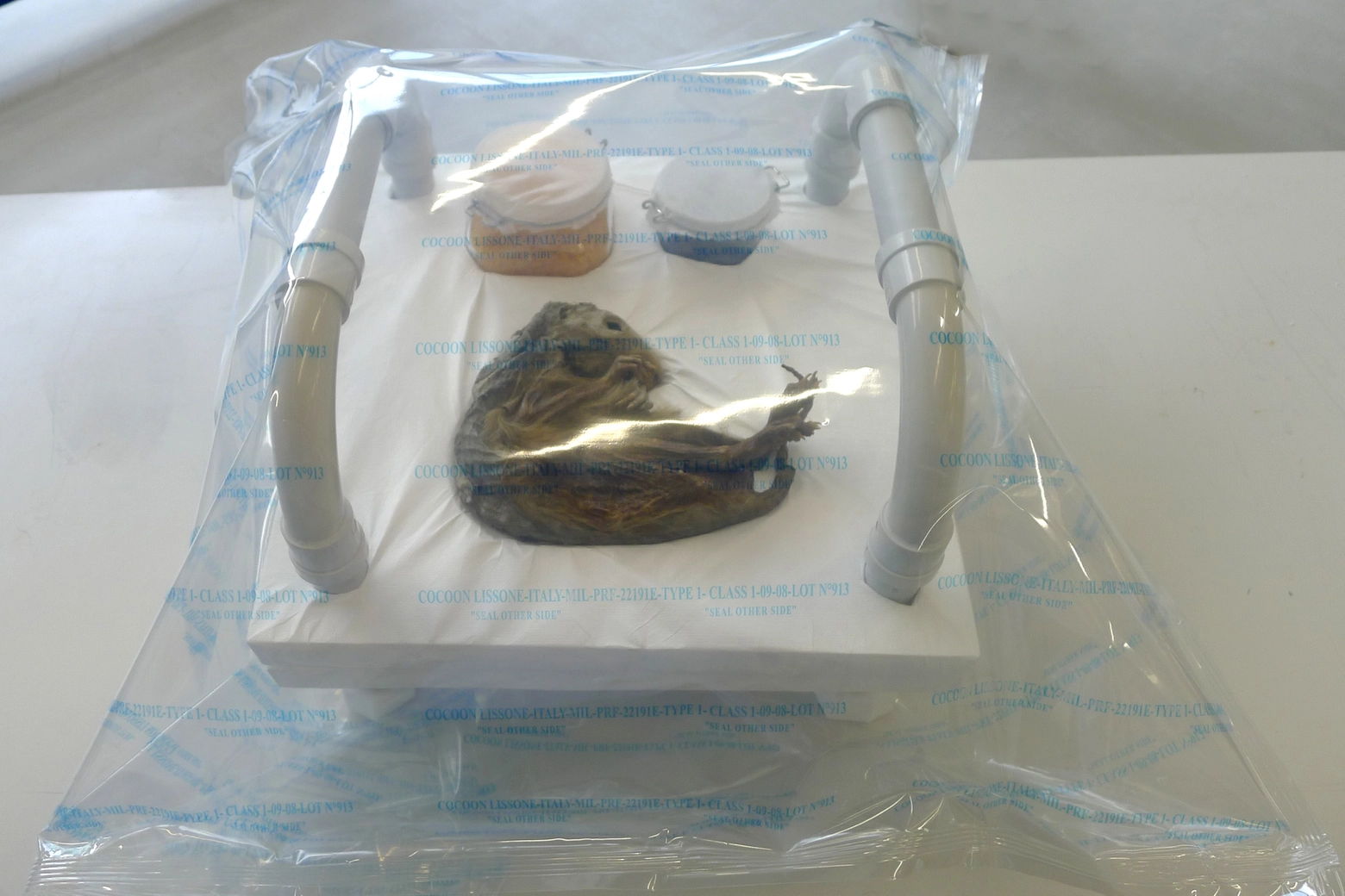 La conservazione della piccola mummia durante le ricerche, prima dell'esposizione nella teca sotto vuoto al Museo