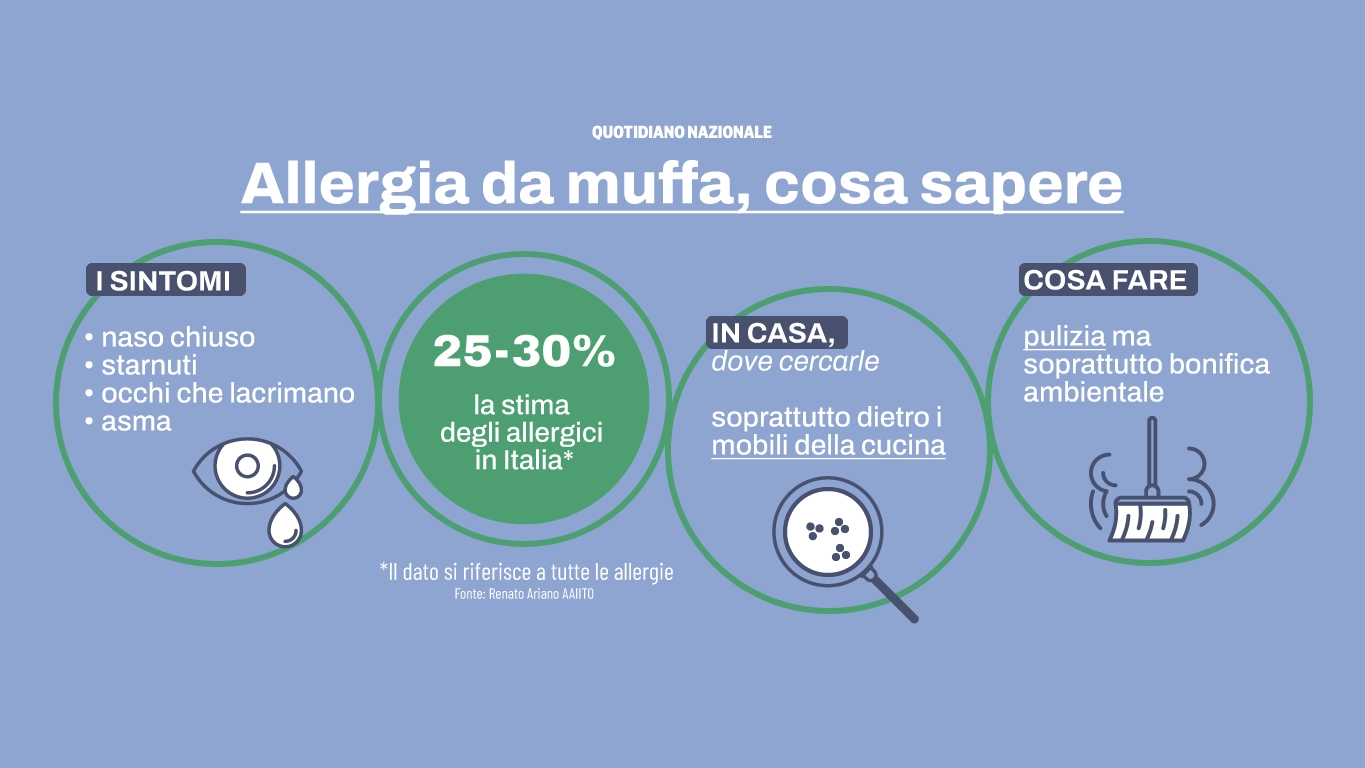 La muffa in casa è un problema sempre più rilevante