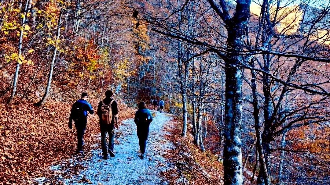 4. In salita nel foliage per raggiungere la cima del Catria - Crediti Miriam Piraino