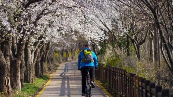 Oscar alle ciclabili. Una tradizione lunga dieci anni