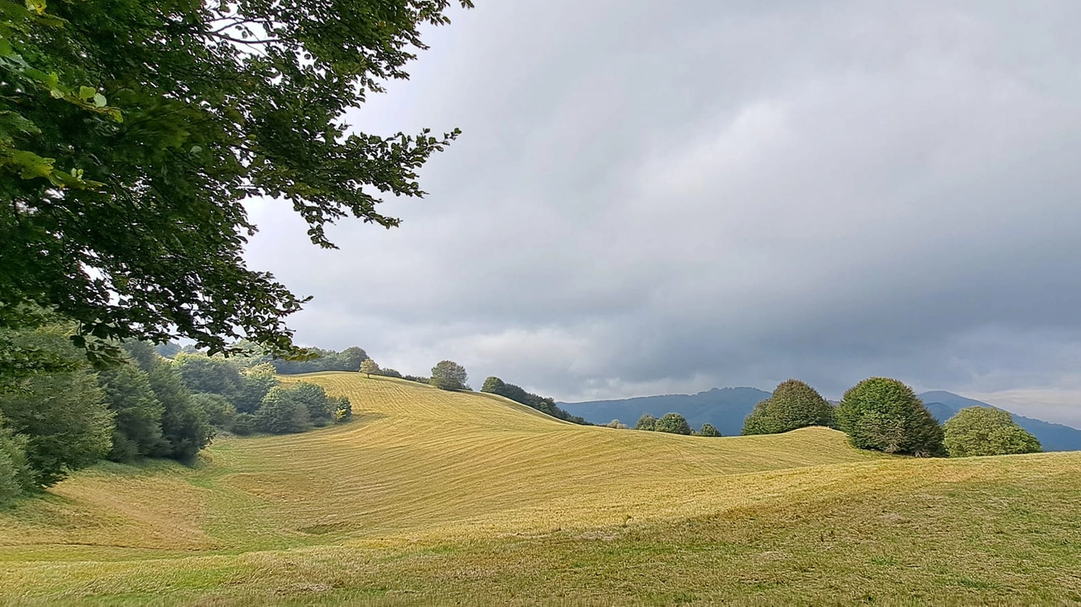 Parco dell'Antola, Liguria