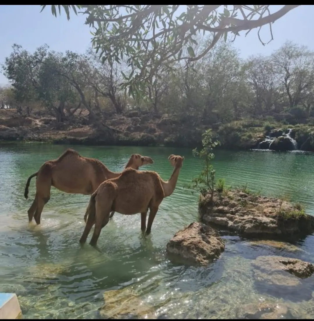 Sultanato dell'Oman, magiche atmosfere fra tradizione e modernità