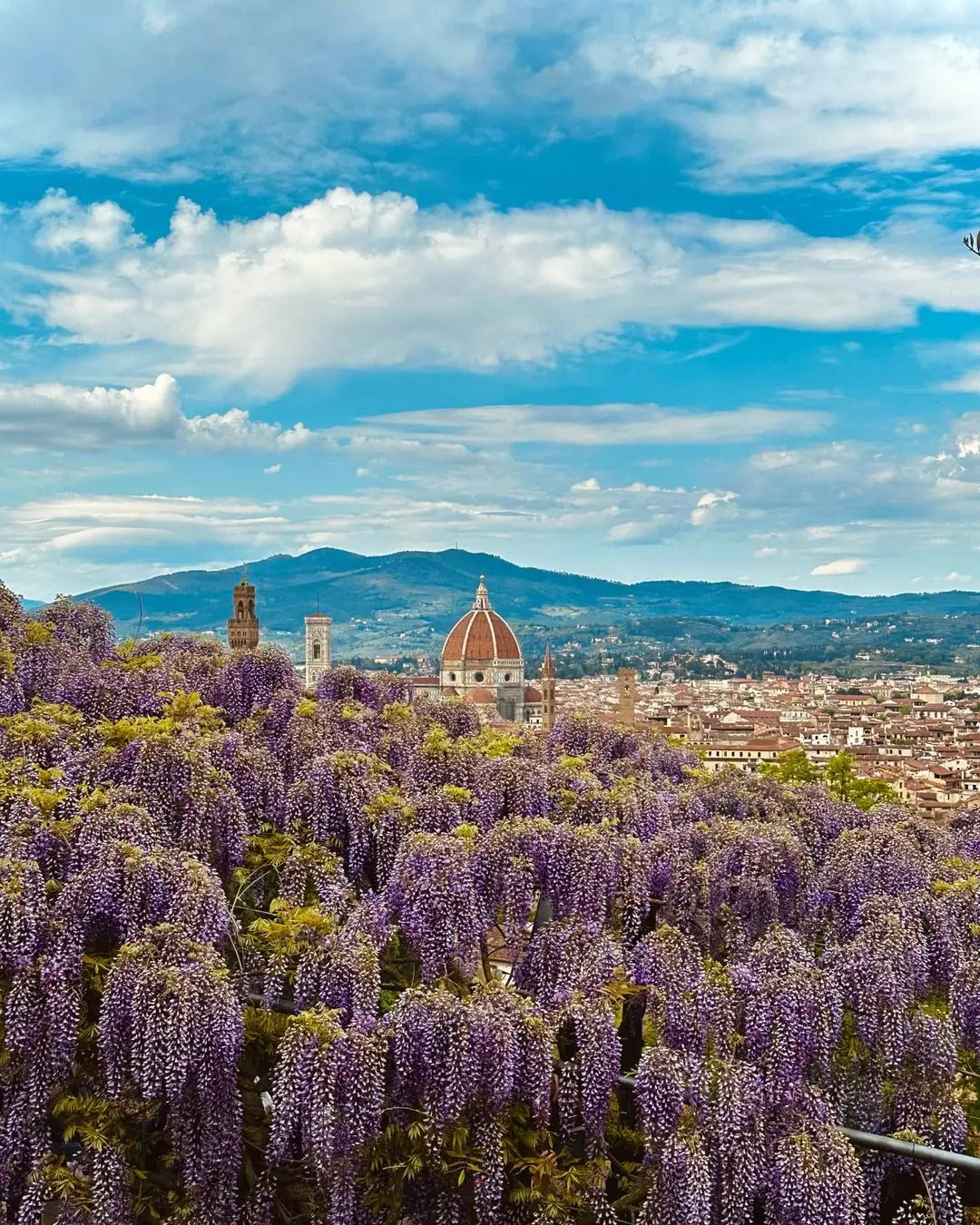 Weekend di Pasqua a Firenze: parchi, giardini e orti botanici d’arte