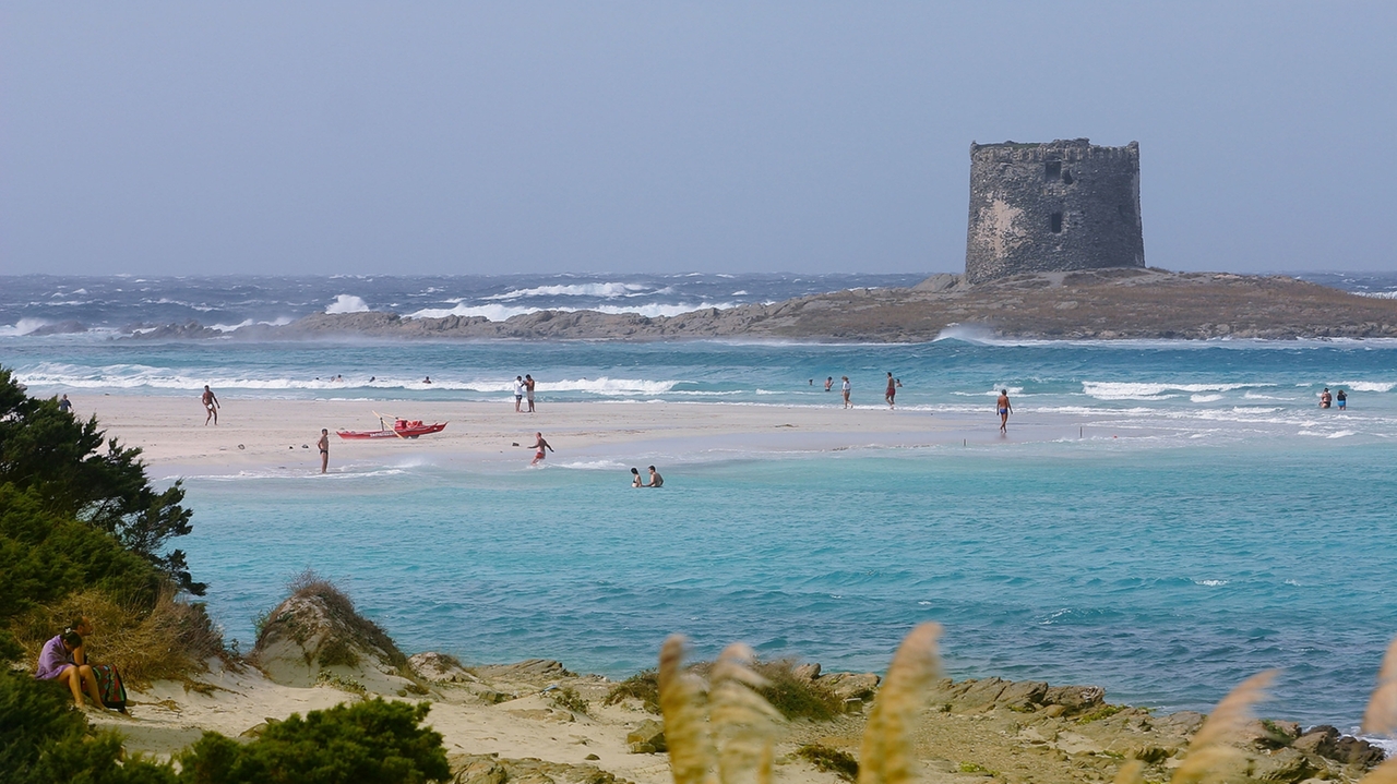 spiaggia La Pelosa di Stintino